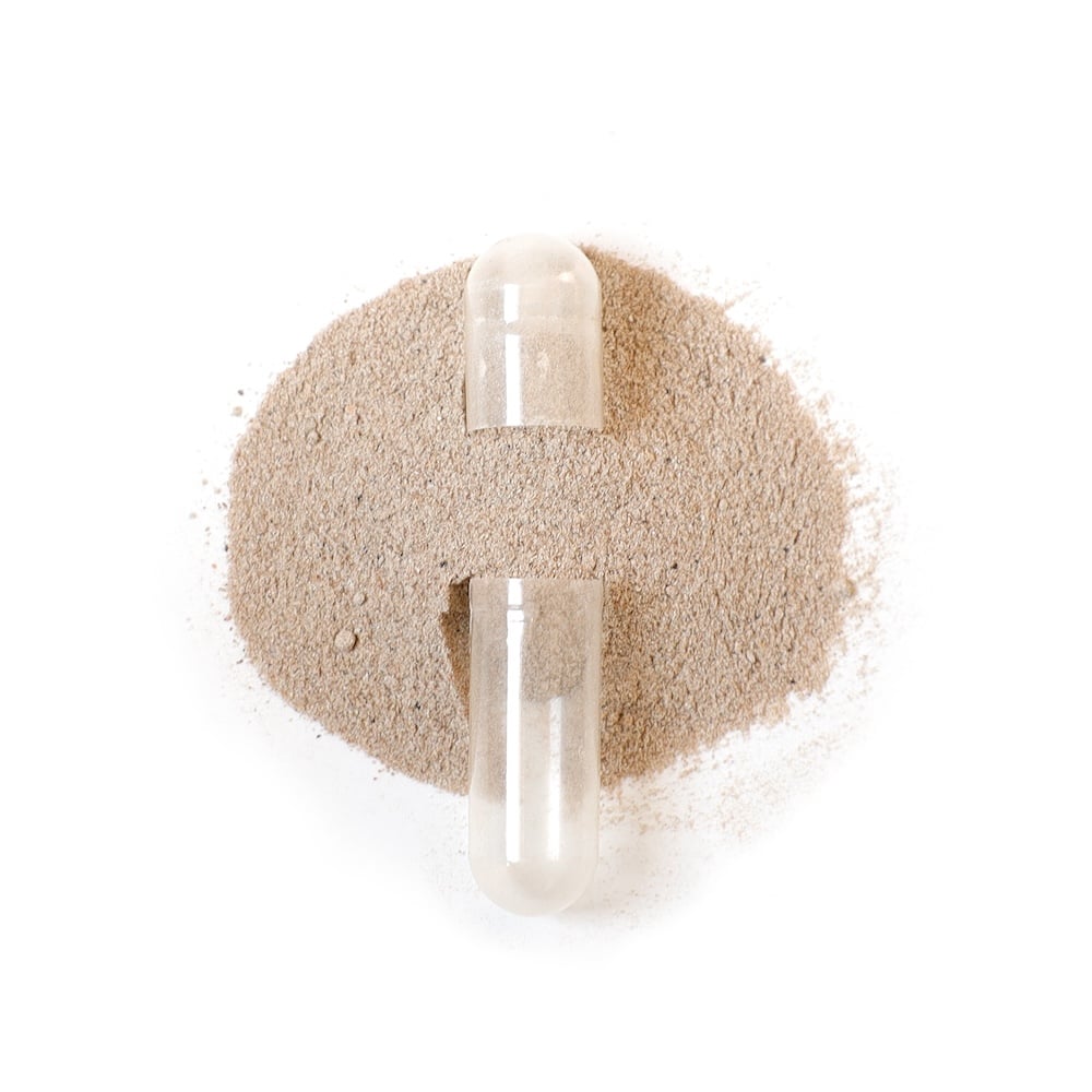 Thyroid Zone Capsule:Powder 1000 x 1000